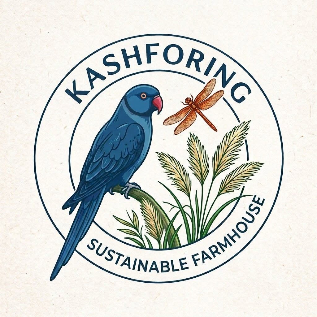 kashforing logo